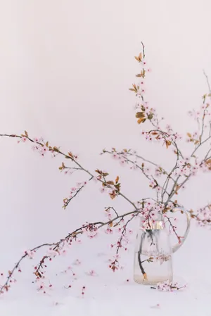 Pink Flowers Aesthetic Photography Wallpaper