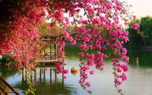 Pink Hanging Flower Wallpaper