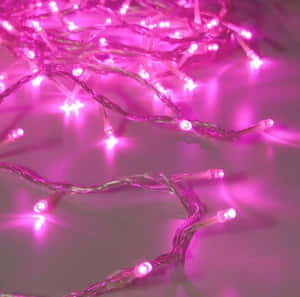 Pink Led String Lights On A Table Wallpaper