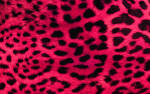 Pink Leopard Print Fur Wallpaper