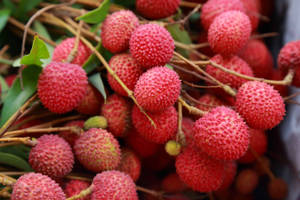 Pink Litchi Fruits Wallpaper