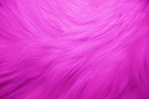 Pink Luxury Faux Fur Cushion Wallpaper