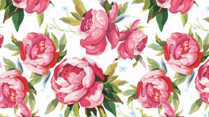 Pink Peony Illustrations Wallpaper