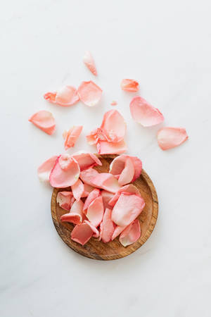 Pink Petals On White Background Wallpaper