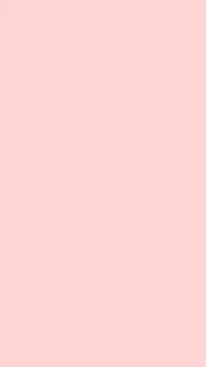 Pink Plain Hd Iphone Wallpaper Wallpaper