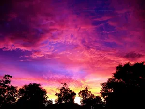Pink Purple Sunset Skies Wallpaper