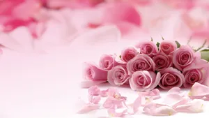 Pink Rose Desktop Wallpaper Wallpaper
