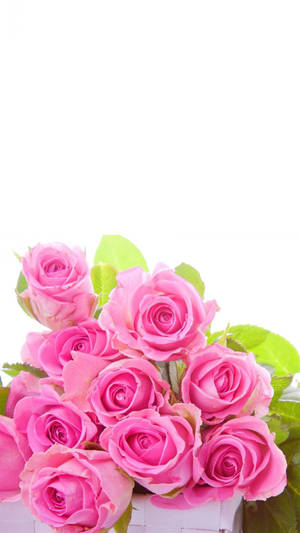 Pink Rose Iphone Bouquet Wallpaper