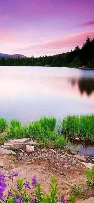 Pink Skies Nature 4k Iphone Wallpaper