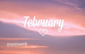 Pink Skyline In February Wallpaper