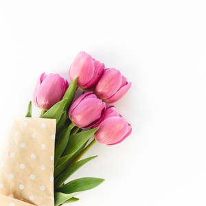 Pink Tulips Bouquet Hd Wallpaper
