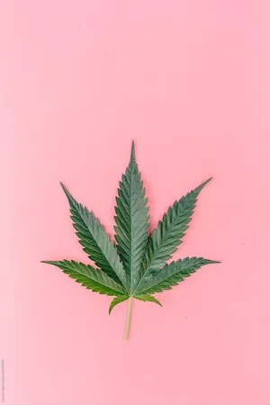 Pink Weed Stoner Phone Wallpaper