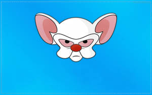 Pinky And The Brain Blue Art Wallpaper