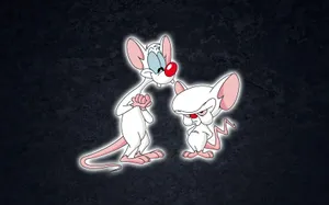 Pinky And The Brain Digital Art Wallpaper