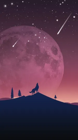 Pinterest Pink Nights And Shooting Stars Wallpaper