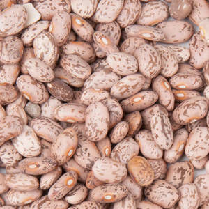 Pinto Beans Batch Wallpaper
