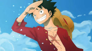 Pirate Luffy Anime Profile Wallpaper