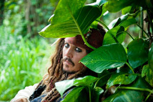 Pirates Of The Caribbean Jack Hiding Wallpaper