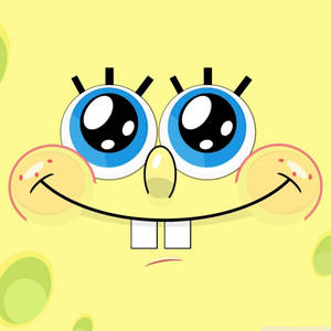 Pity Look Of Spongebob Wallpaper