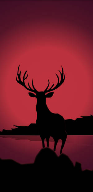 Pixel 3 Xl Stag Silhouette Wallpaper