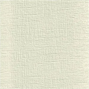 Plain Beige 1000 X 1000 Wallpaper