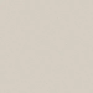 Plain Beige 1440 X 1440 Wallpaper