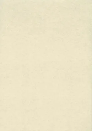 Plain Beige 840 X 1200 Wallpaper