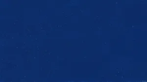 Plain Dark Blue Pattern Wallpaper