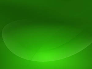 Plain Green Art Wallpaper