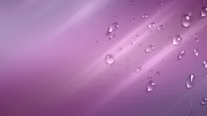 Plain Lavender Gradient Water Drops Wallpaper