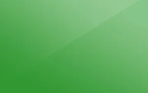 Plain Light Green Wallpaper