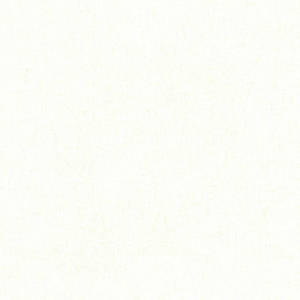 Plain Off White Wallpaper