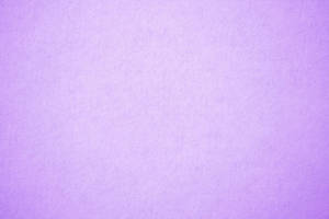 Plain Pastel Purple Tumblr Wallpaper