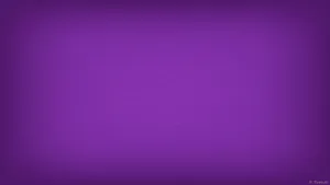 Plain Purple Background Wallpaper