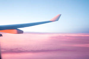 Plane Wing In Pink Sky Wallpaper