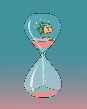 Plant Life In An Hourglass Wallpaper