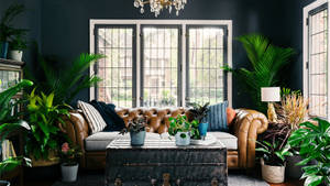 Plant Lover Living Room Zoom Background Wallpaper