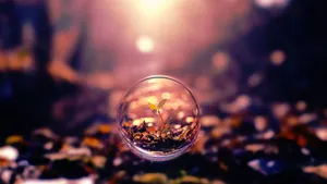 Plant Sprout All Best Wallpaper