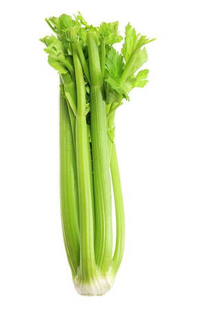 Plant Vegetable Display Celery Wallpaper