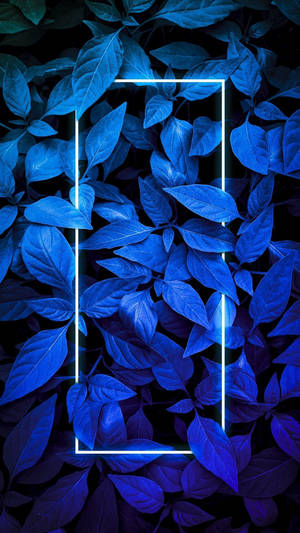 Plants Neon Blue Iphone Wallpaper