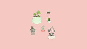 Plants On Aesthetic Pink Wallpaper