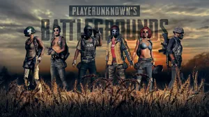 Player Unknown Battlegrounds Characters Grass Field Wallpaper