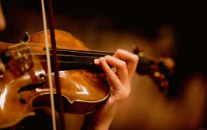 Playing Wooden Chordophone Violin Instrument Wallpaper