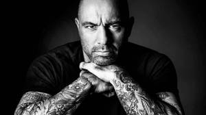 Podcast Host Joe Rogan Wallpaper