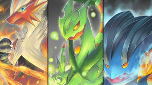 Pokemon Blaziken Sceptile Swampert Wallpaper