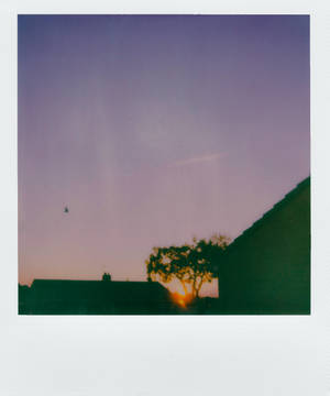 Polaroid Purple Sky Wallpaper