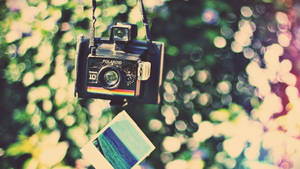 Polaroid Vintage Camera Wallpaper