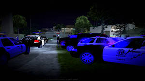 Police Thin Blue Line Wallpaper