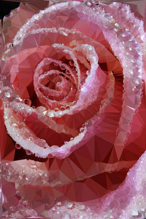 Polygon Art Pink Rose Wallpaper