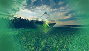 Polyscape Grass Field Diamonds Wallpaper